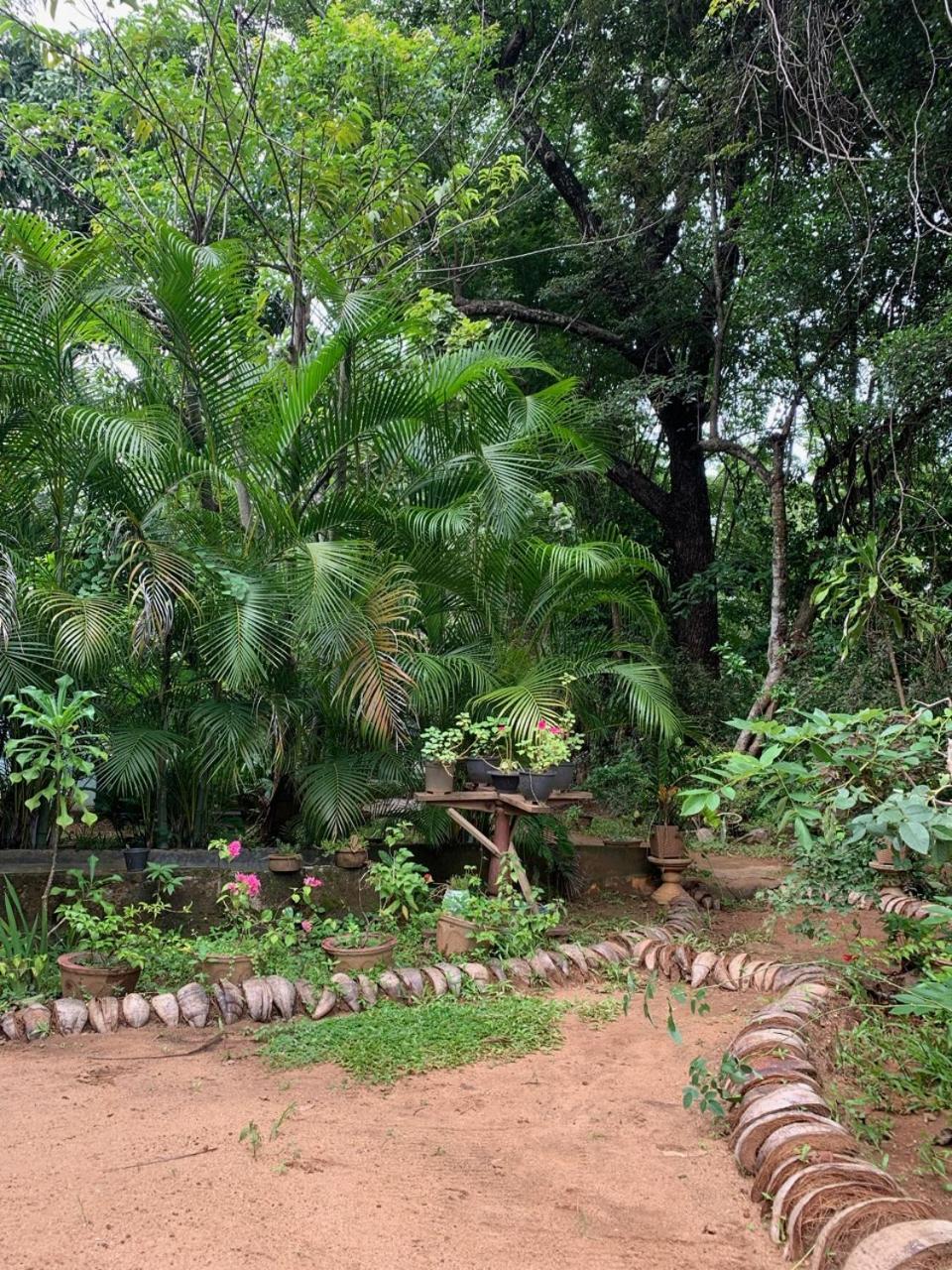 Manju Homestay Sigiriya Bagian luar foto