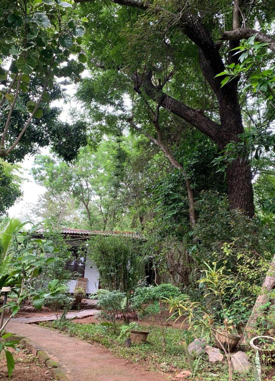 Manju Homestay Sigiriya Bagian luar foto