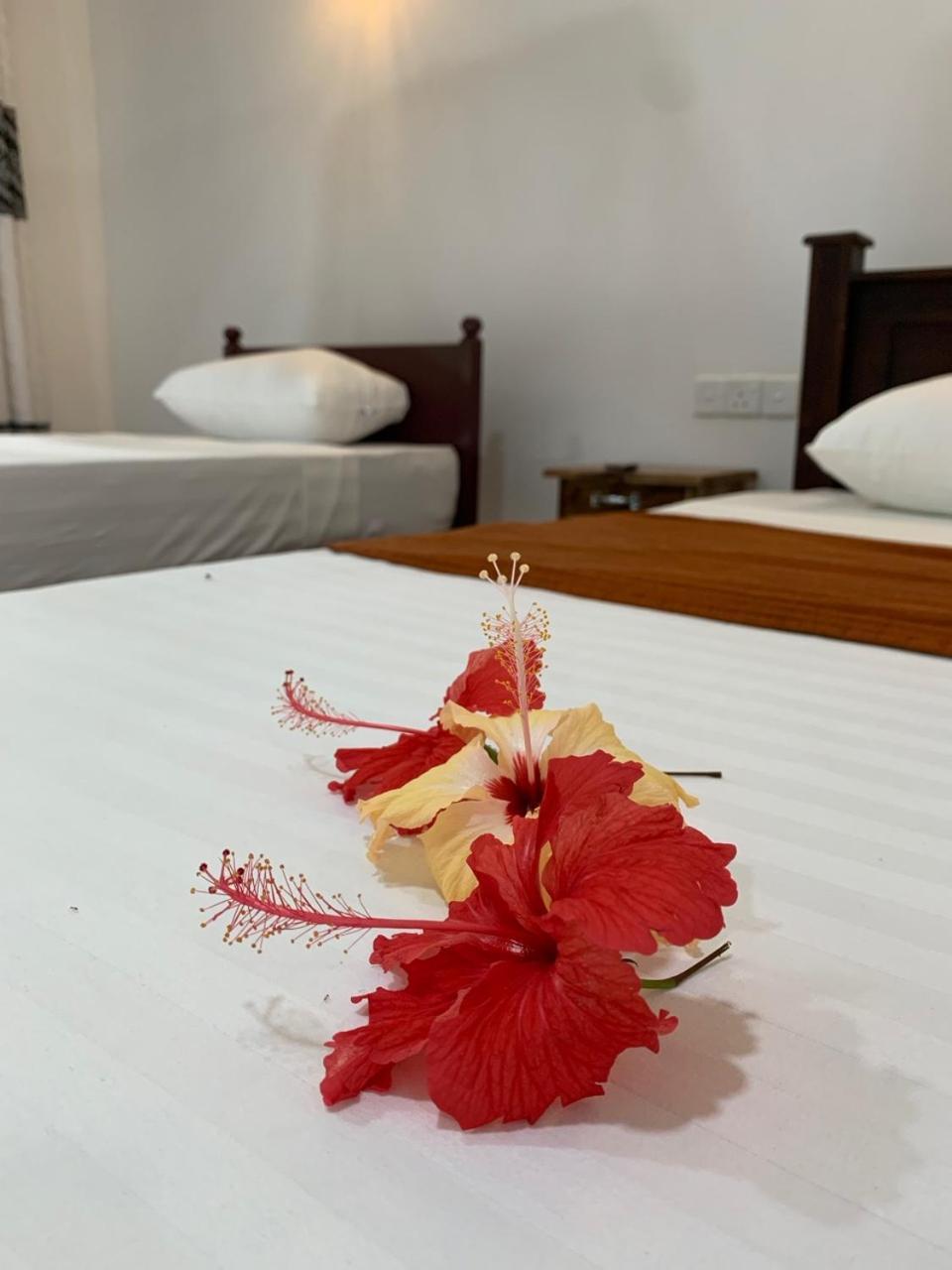Manju Homestay Sigiriya Bagian luar foto