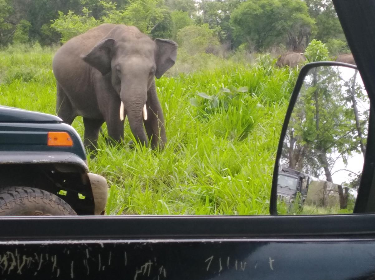 Manju Homestay Sigiriya Bagian luar foto