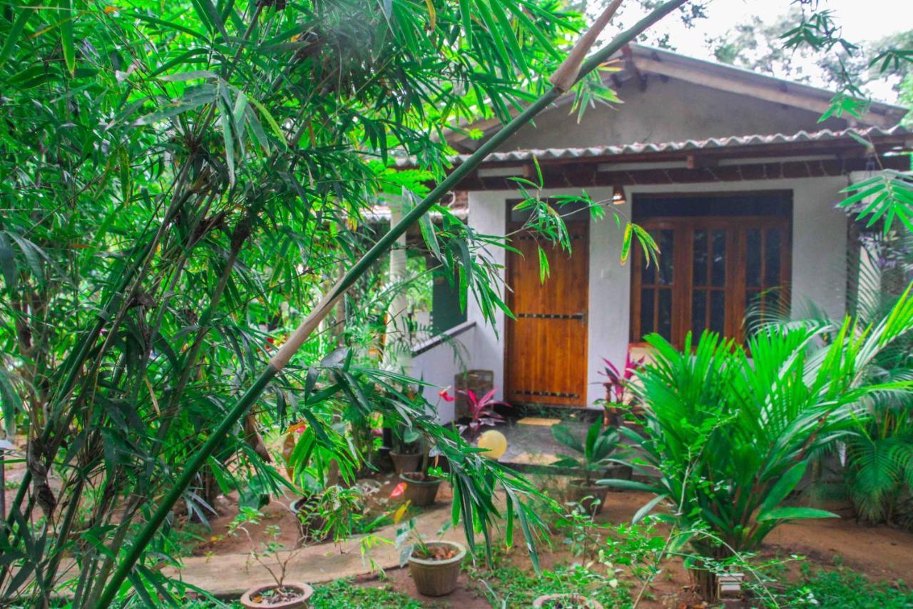 Manju Homestay Sigiriya Bagian luar foto
